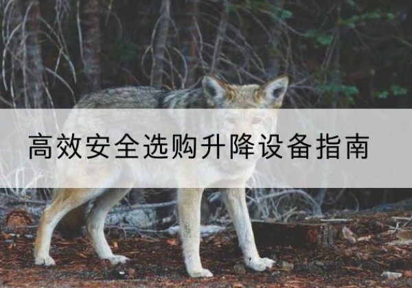 榆社升降货梯厂家推荐-*安全选购升降设备指南