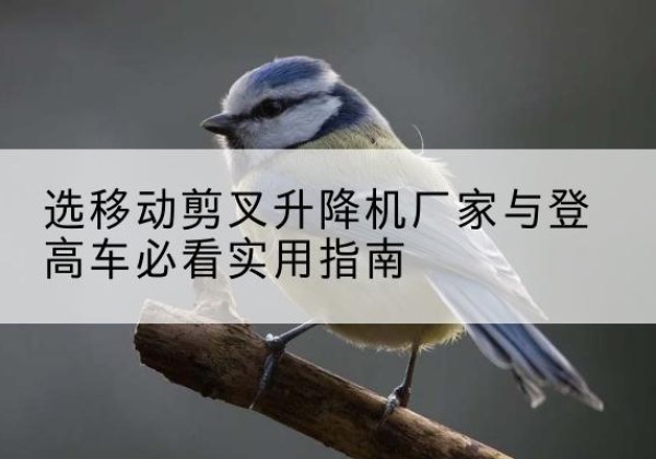 榆社电动升降机厂家-选移动剪叉升降机厂家与登高车必看实用指南